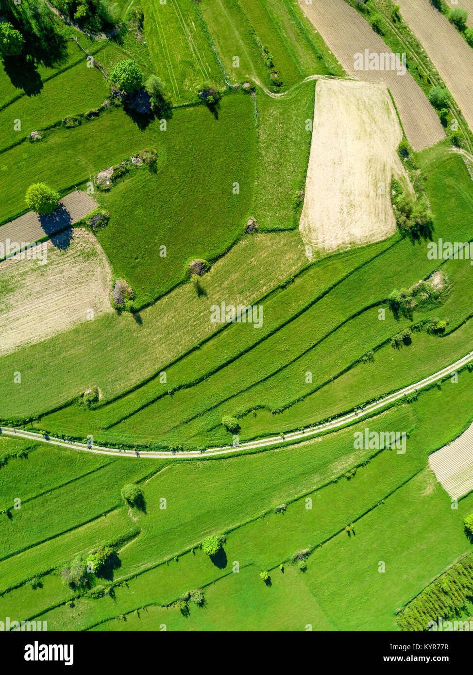 Aerial view of green landscape Stock Photo - Alamy