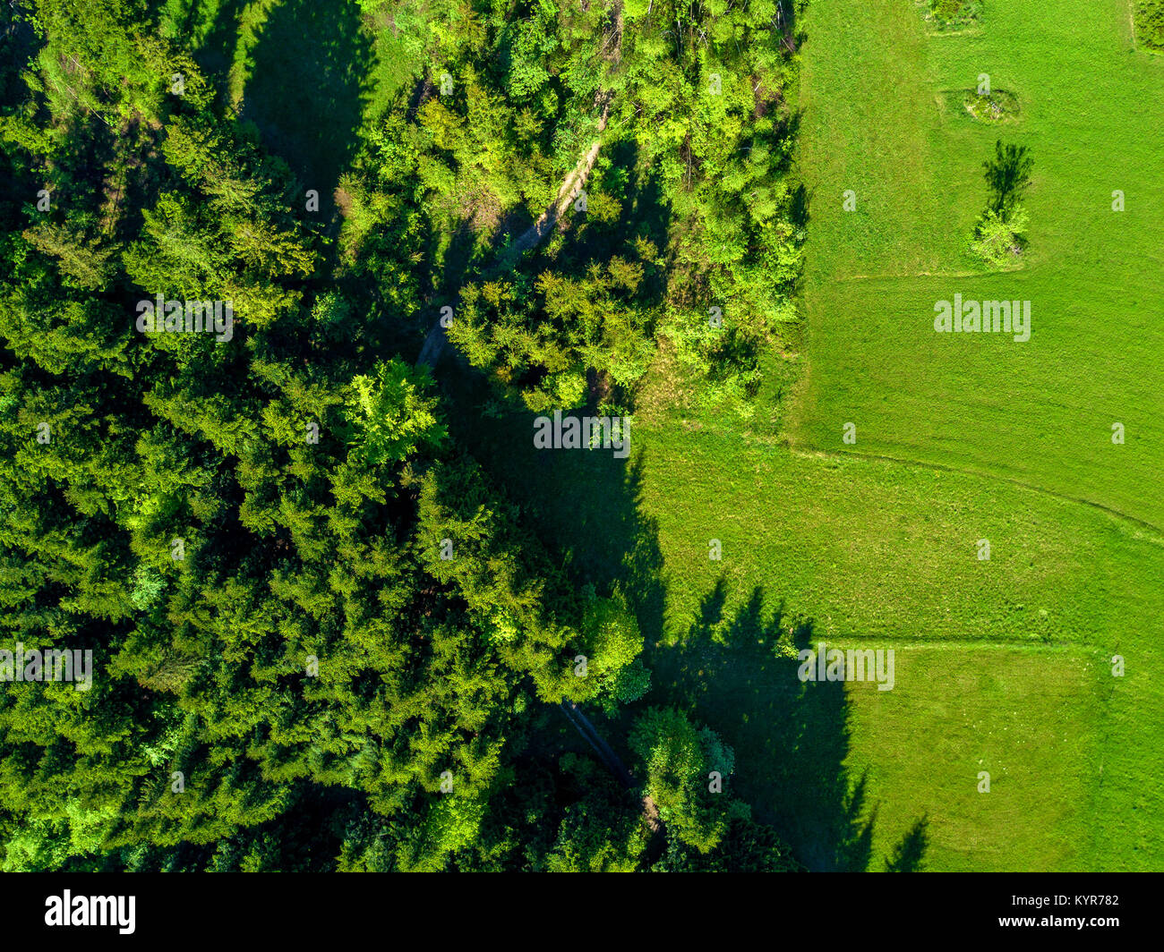 Aerial view of green landscape Stock Photo - Alamy