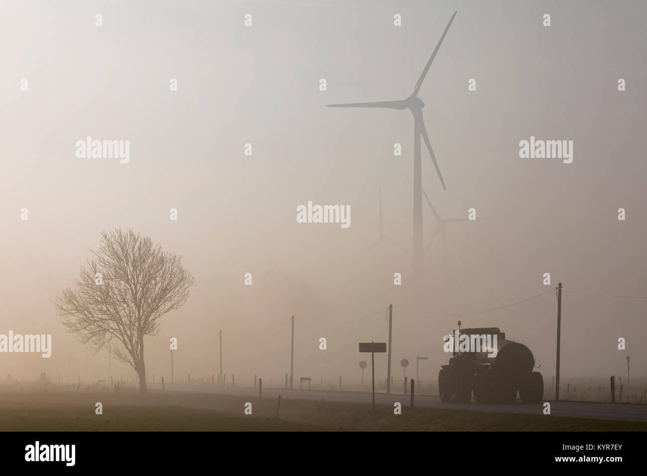 Wind energy plant, wind farm in East Frisia, Lower Saxony, Northern Germany, foggy winter weather, Stock Photo