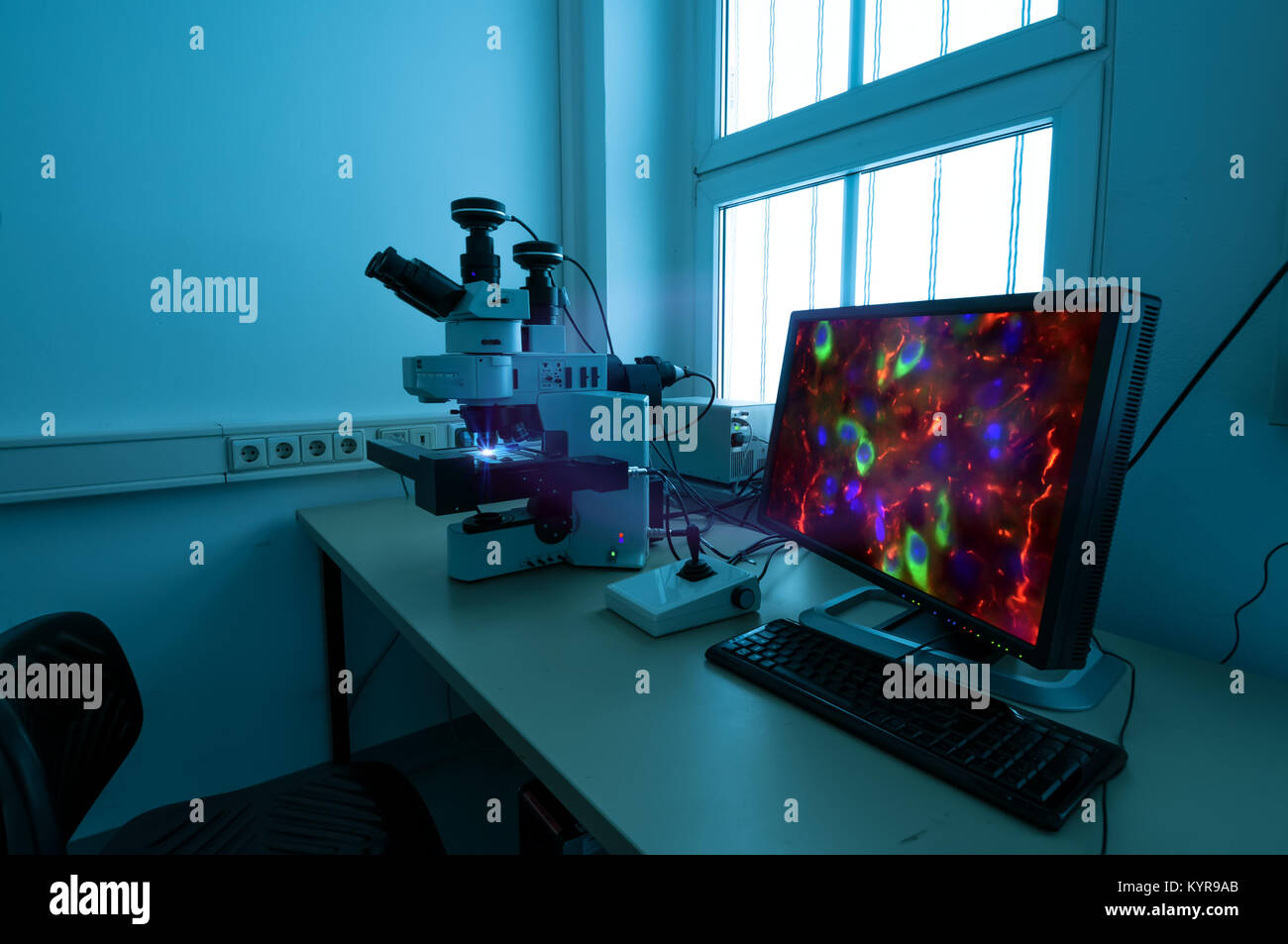 Modern fluorescent microstope working station Stock Photo