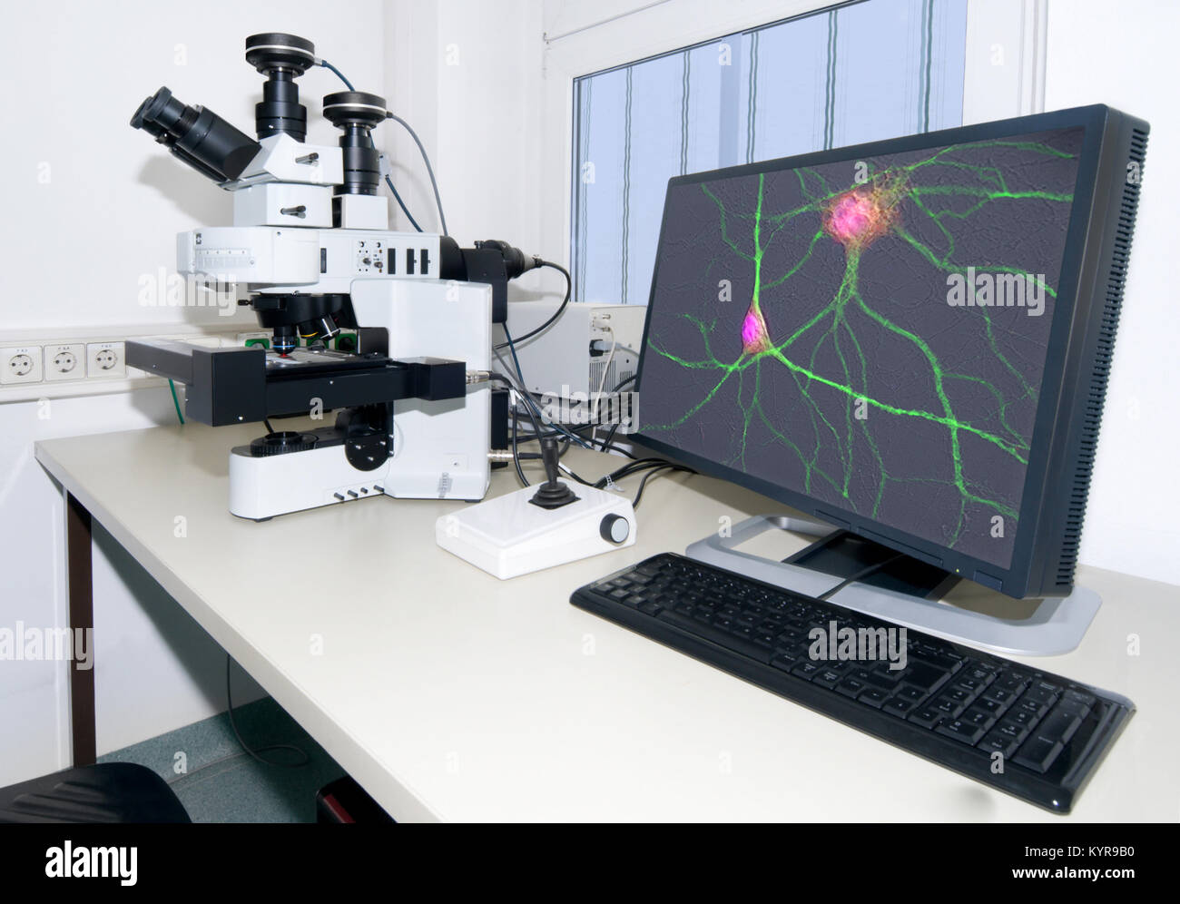 Modern microscope equipped with digital camera, computer and monitor Stock Photo