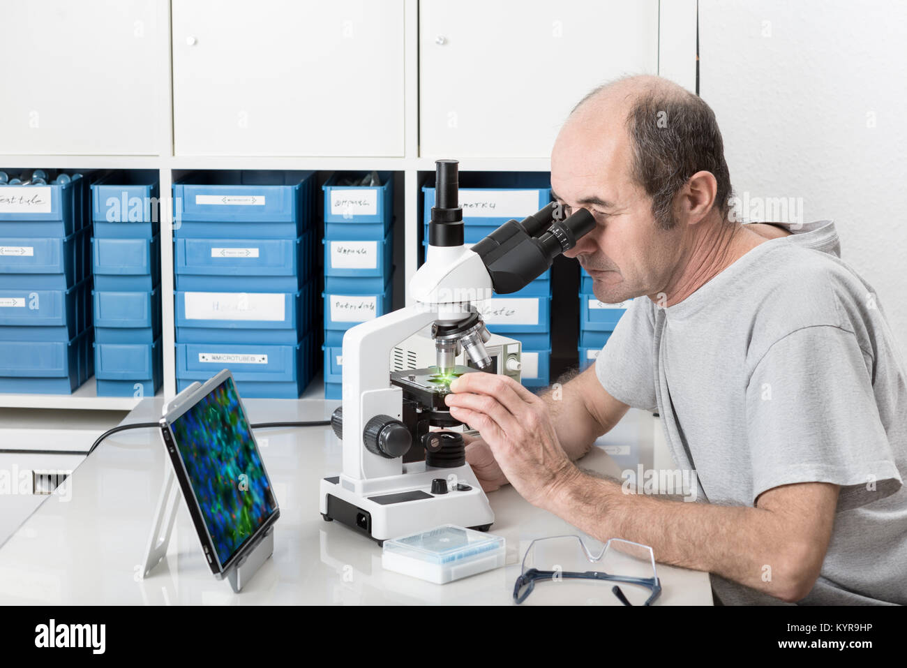 Senior male scientist or tech observes sample under the microscope Stock Photo