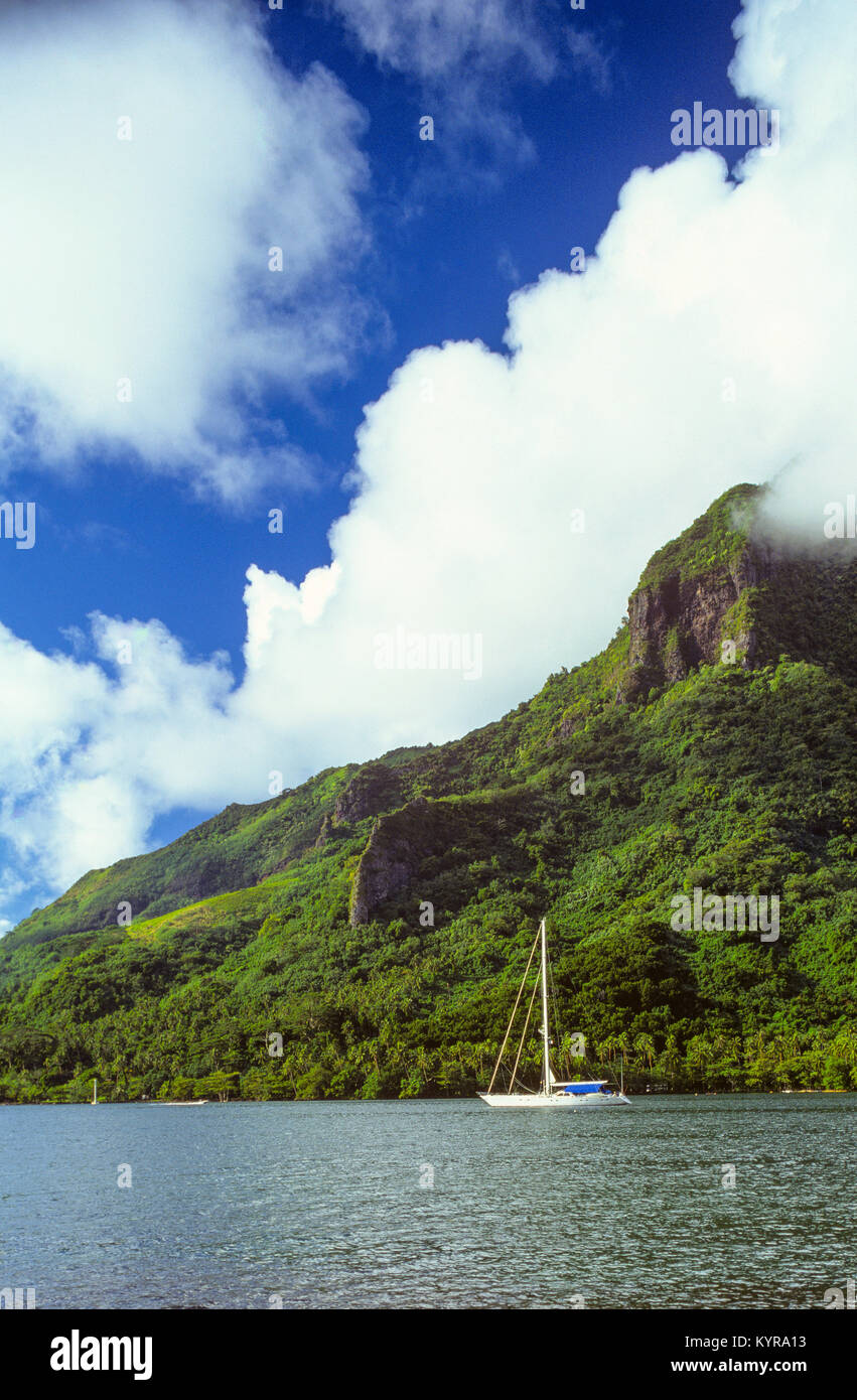 Moorea is one of the Windward Islands, part of the Society Islands of