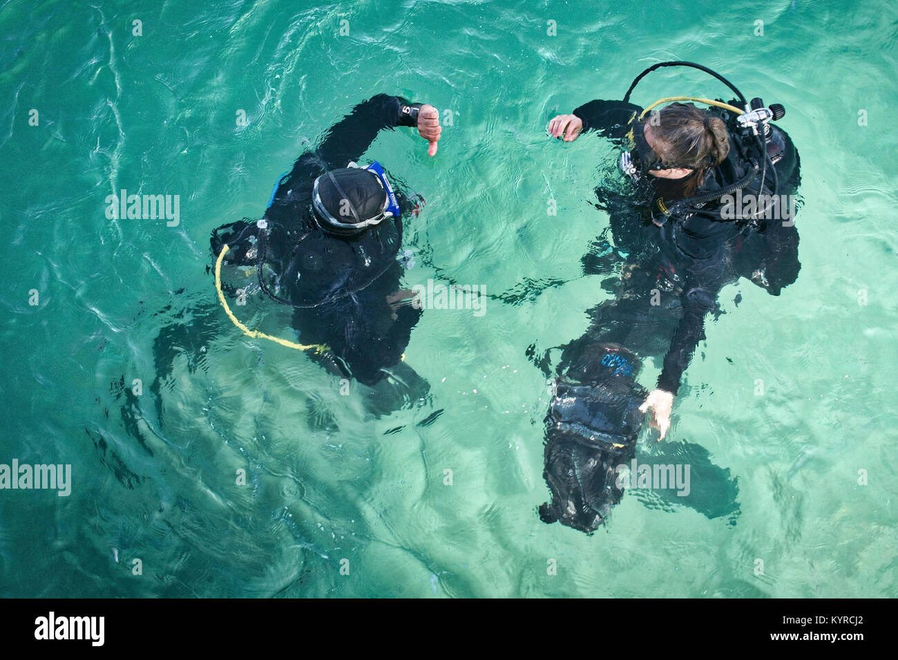 Mohammed Al-Ahmad Naval Base, KUWAIT (Jan. 8, 2018) Explosive Ordnance Disposal Technician 3rd Class Carolyn Willeford, right, assigned to Commander, Task Group 56.1, performs in-water checks during a scuba dive with a Kuwait Naval Force explosive ordnance disposal technician during a training evolution as part of exercise Eager Response 18. Eager Response 18 is a bilateral explosive ordnance disposal military exercise between the State of Kuwait and the United States. The exercise fortifies military-to-military relationships between the Kuwait Naval Force and U.S. Navy, advances the operation Stock Photo