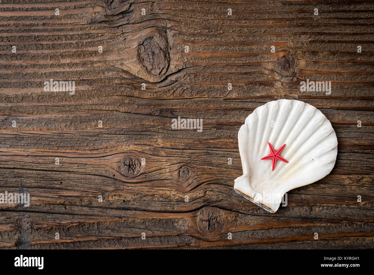 Seashell and starfish on an old wooden background Stock Photo - Alamy
