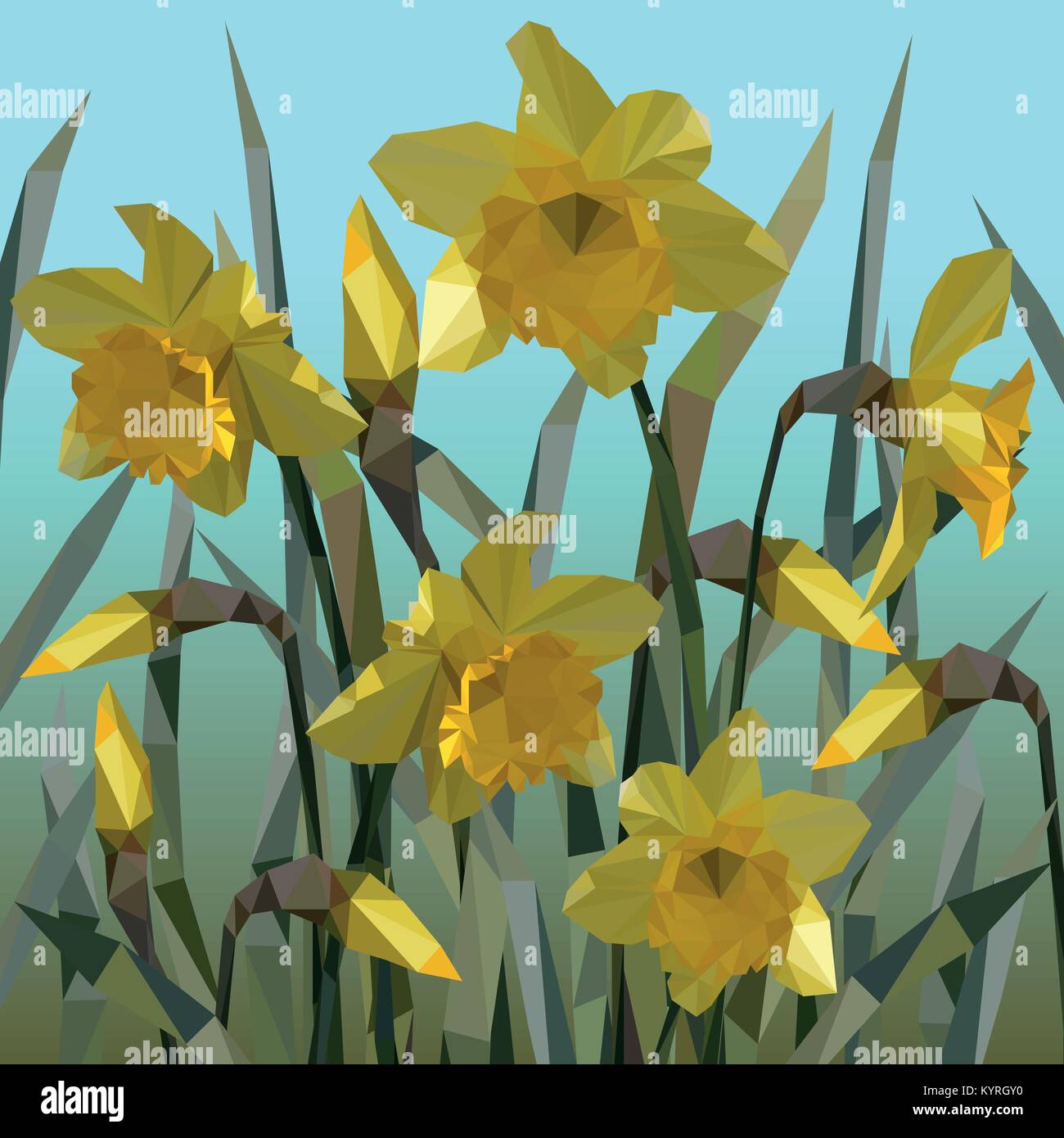 Vector of daffodil flowers isolated Stock Vector Image & Art - Alamy