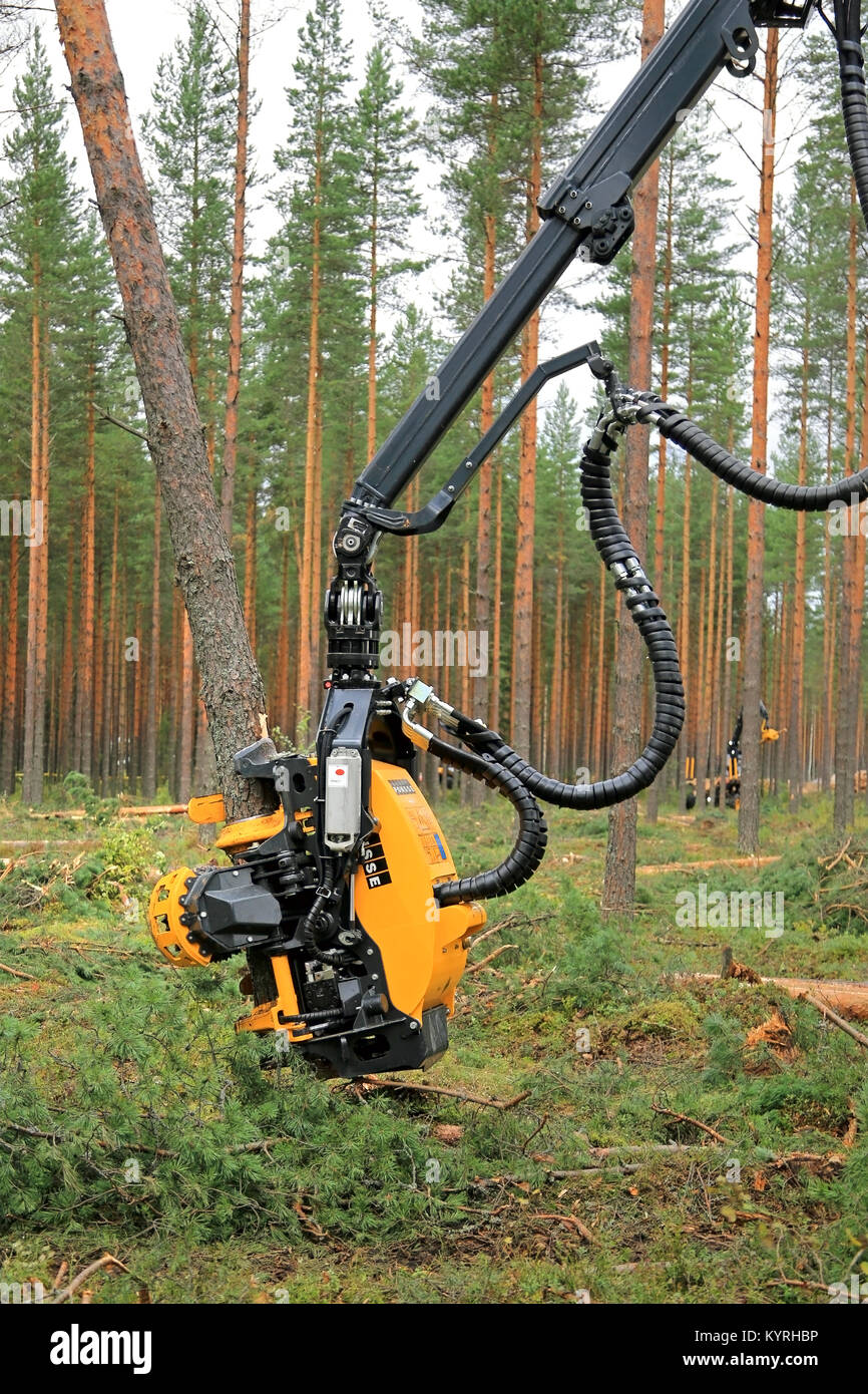 JAMSA, FINLAND - AUGUST 30, 2014: Ponsse H6 harvester head cuts a pine tree. Ponsse presents its new Model Series 2015 at FinnMETKO 2014. Stock Photo