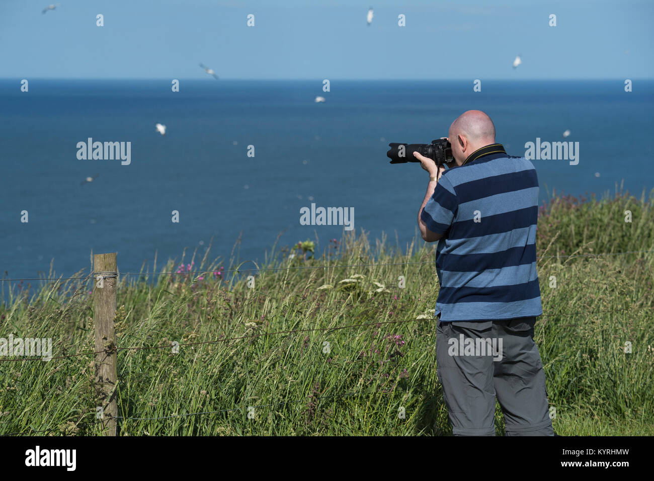 Male birdwatcher with camera taking photos of flying seabirds over North Sea in summer - Bempton Cliffs RSPB reserve, East Yorkshire, England, UK. Stock Photo