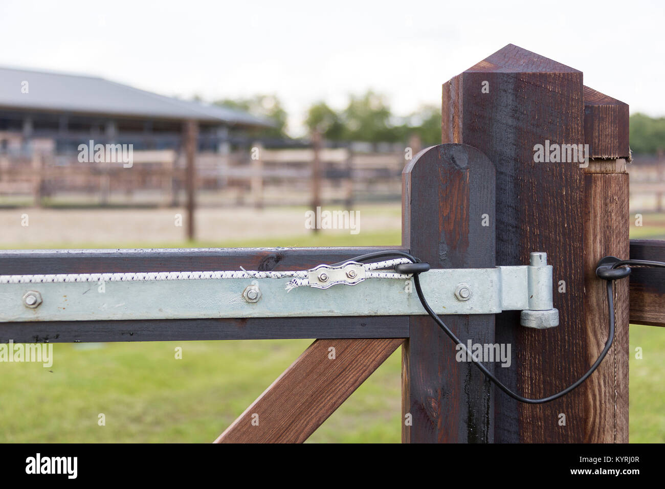 Domestic horse. Gate with electric opener. Netherlands Stock Photo