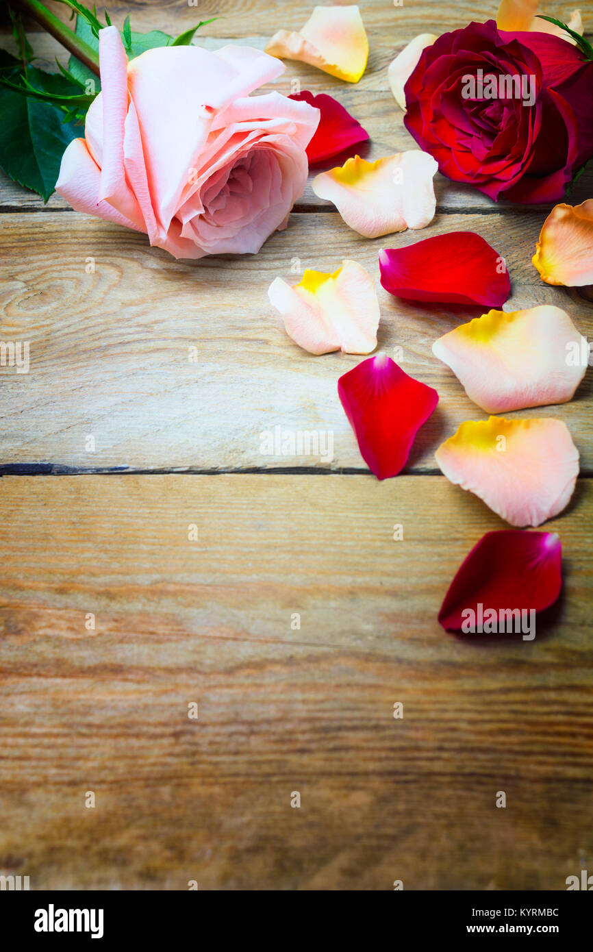 Pink and red Valentines Day roses with petals on the old wooden background, copy space. Stock Photo