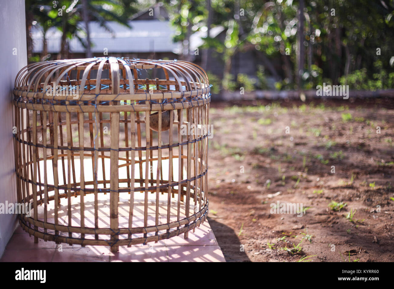 Traditional Chicken Cage on the yard Stock Photo