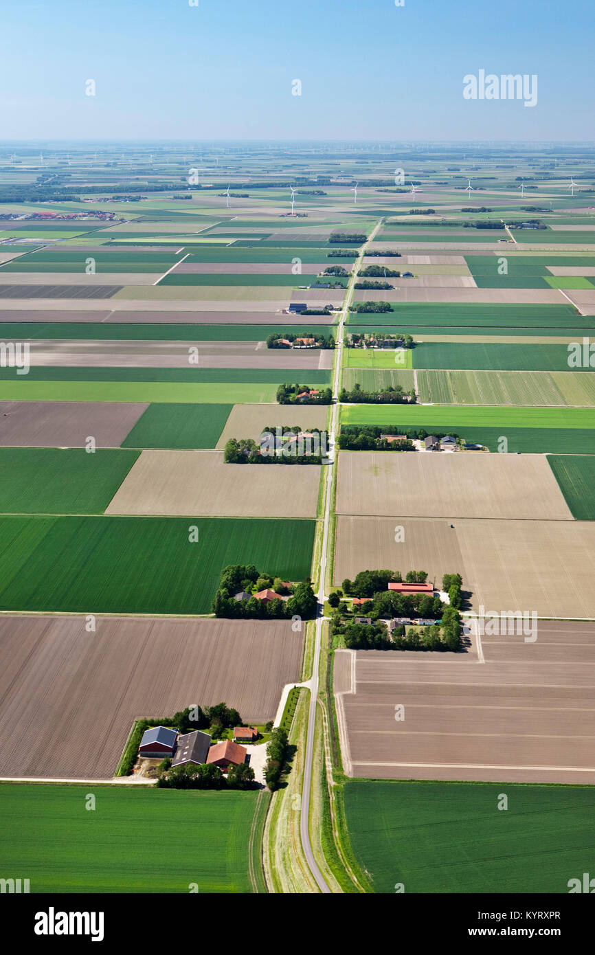 The Netherlands, Nagele, Noordoostpolder, Farms and farmland in Flevopolder. Aerial. Stock Photo