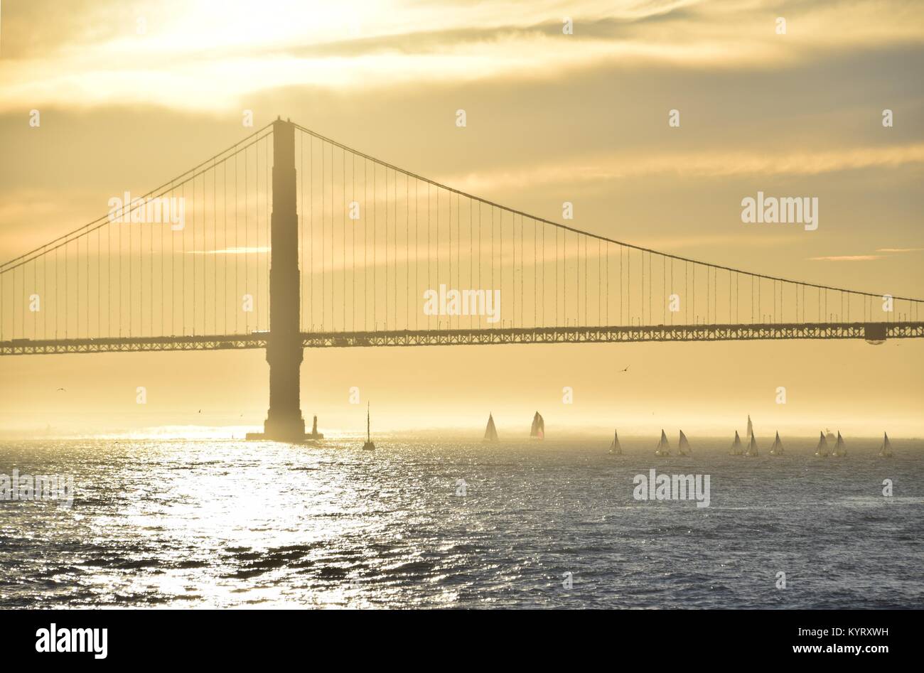 A flotilla of small sailing boats at sunset under the Golden Gate Bridge, San Francisco. Stock Photo