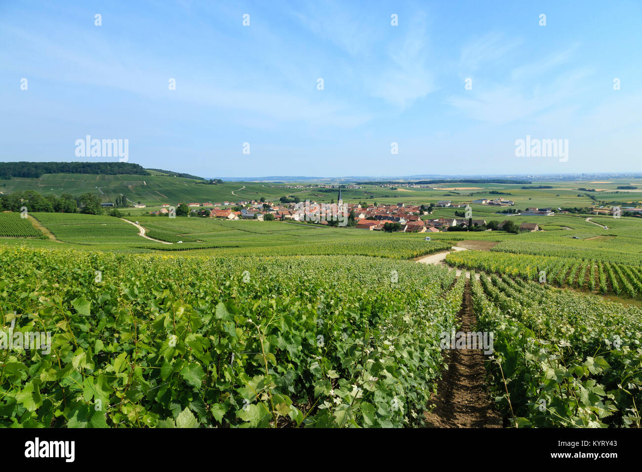 France Marne 51 Parc Naturel Régional De La Montagne De