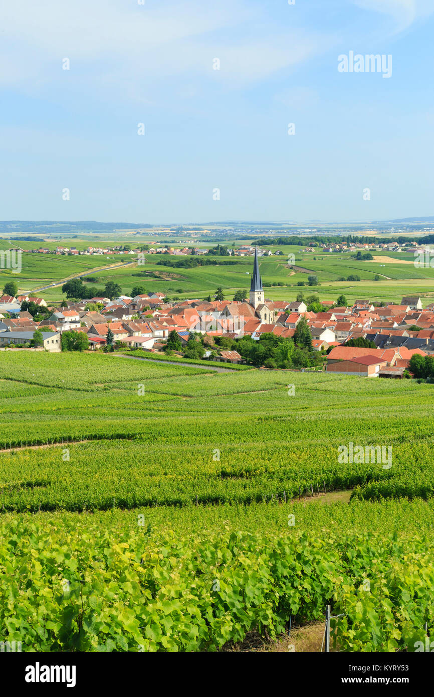 Route Touristique Du Champagne Stock Photos Route