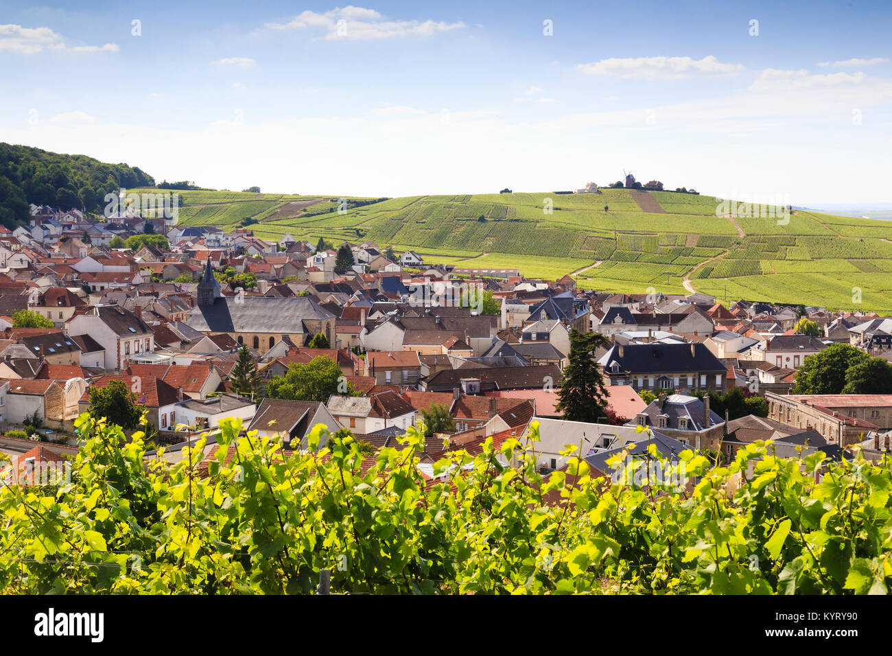 Parc naturel regional de la montagne