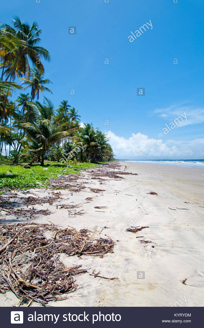 manzanilla-beach-high-resolution-stock-photography-and-images-alamy