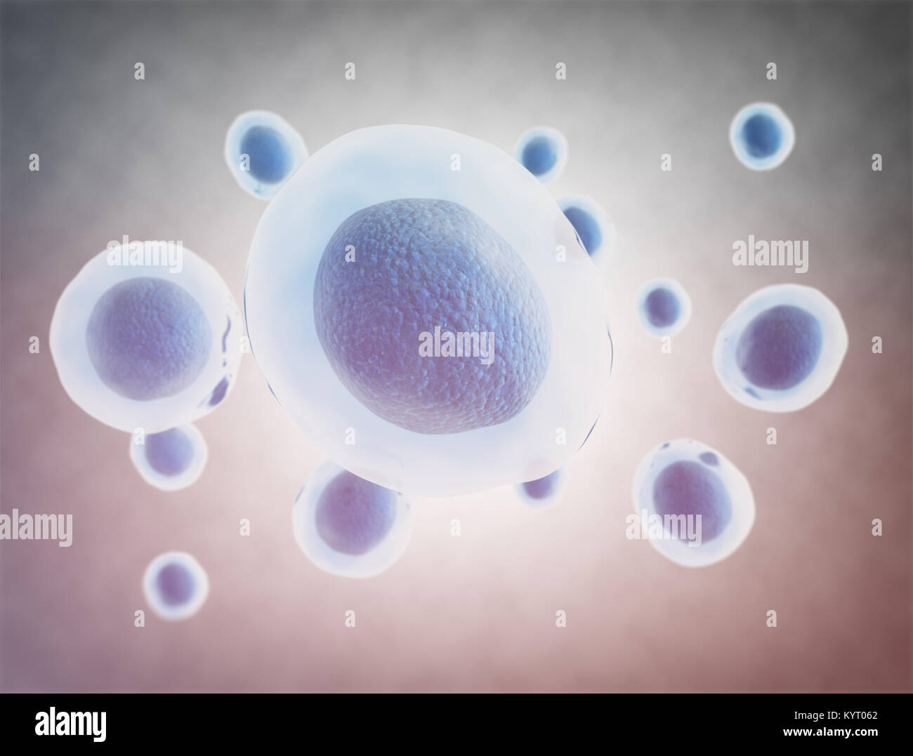 Blue cells under microscope. 3d render Stock Photo