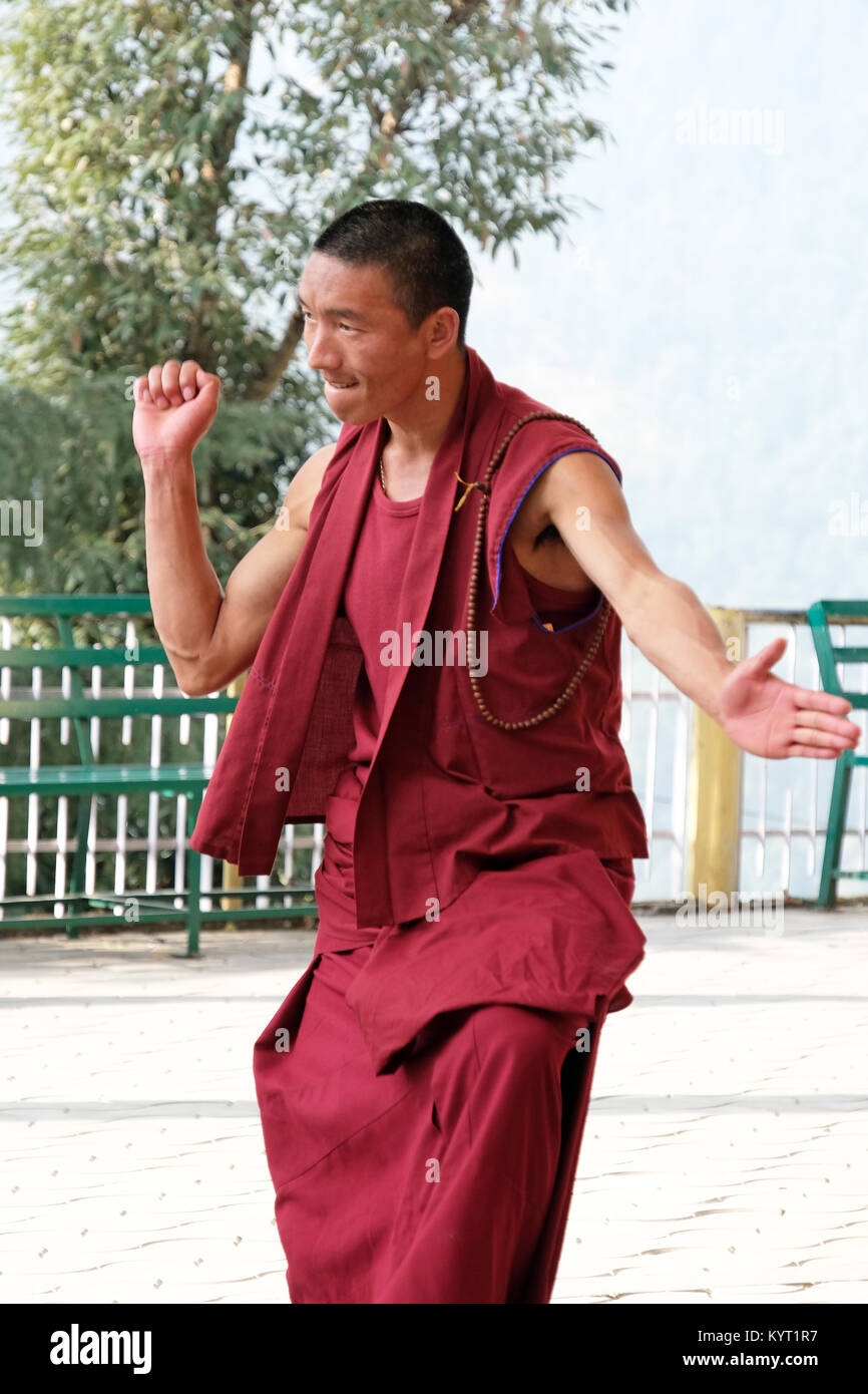Tibetan buddhist monk debating  in the grounds of the Tibetan Government in Exile, Dharamshala,India Stock Photo