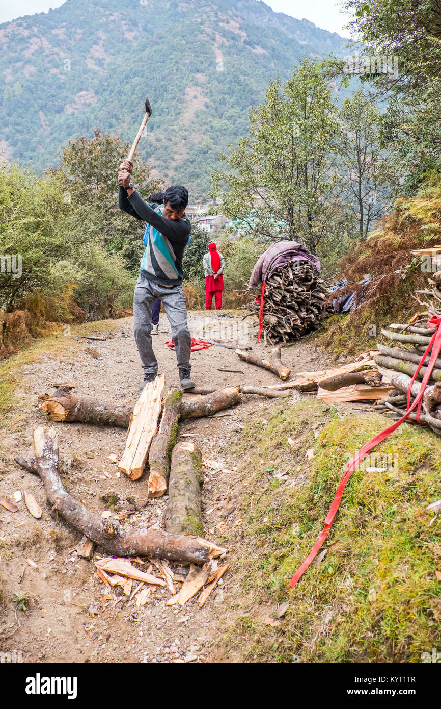 Man chopping firewood in the Himalayan foothills of Northern India Stock Photo