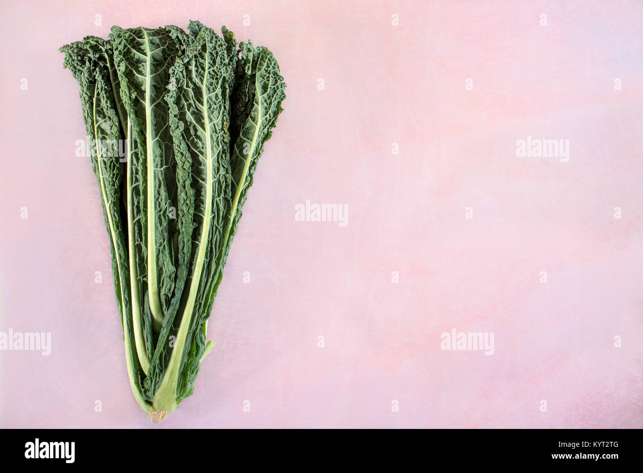 Black cabbage or kale, top view shot, flat lay with copy space. Stock Photo
