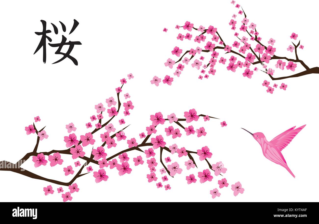 vector illustration of cherry blossom with Japanese text and pink hummingbird. Stock Vector