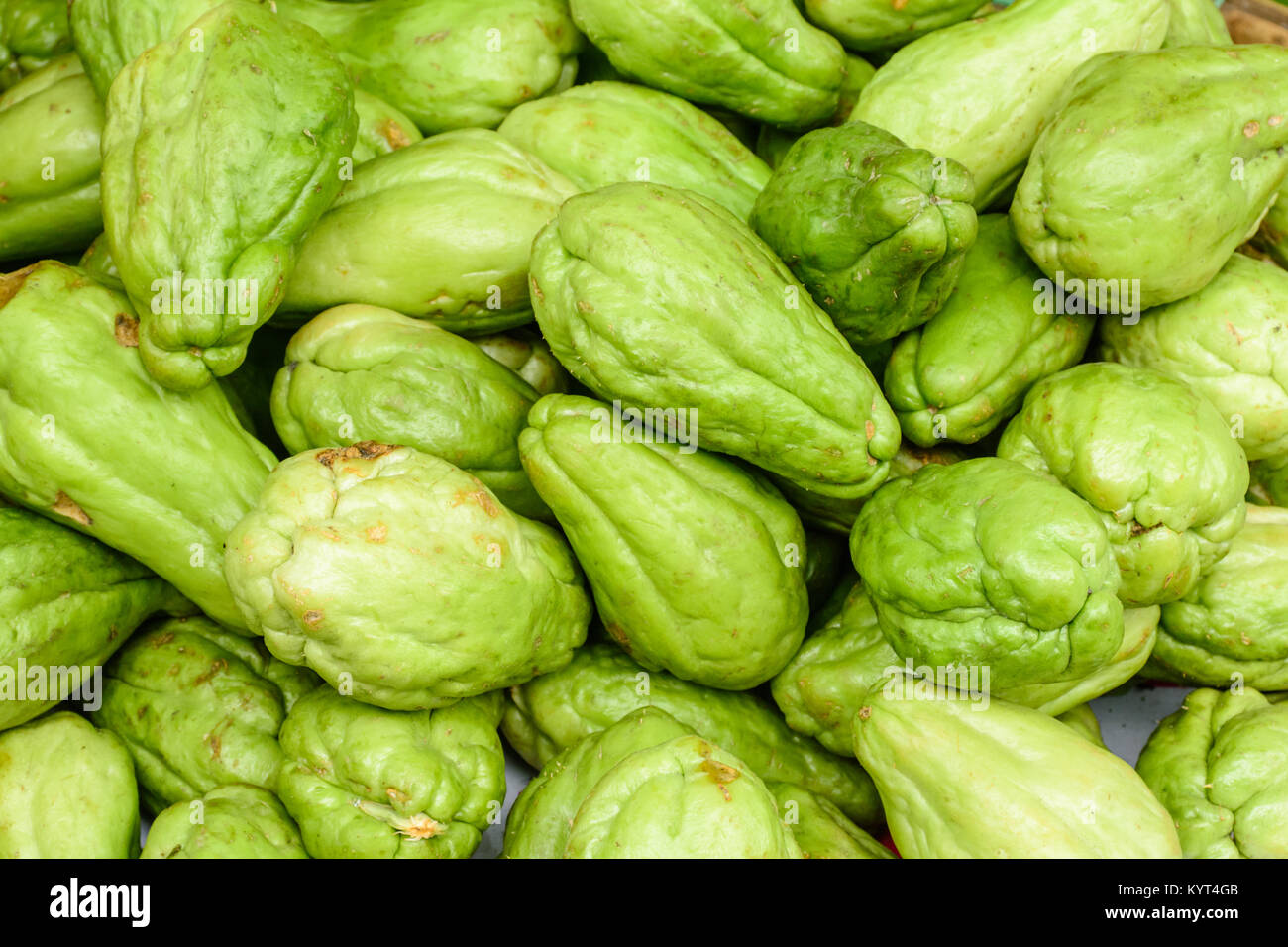 closeup photo of fresh vegetable, marrow or chayote Stock Photo