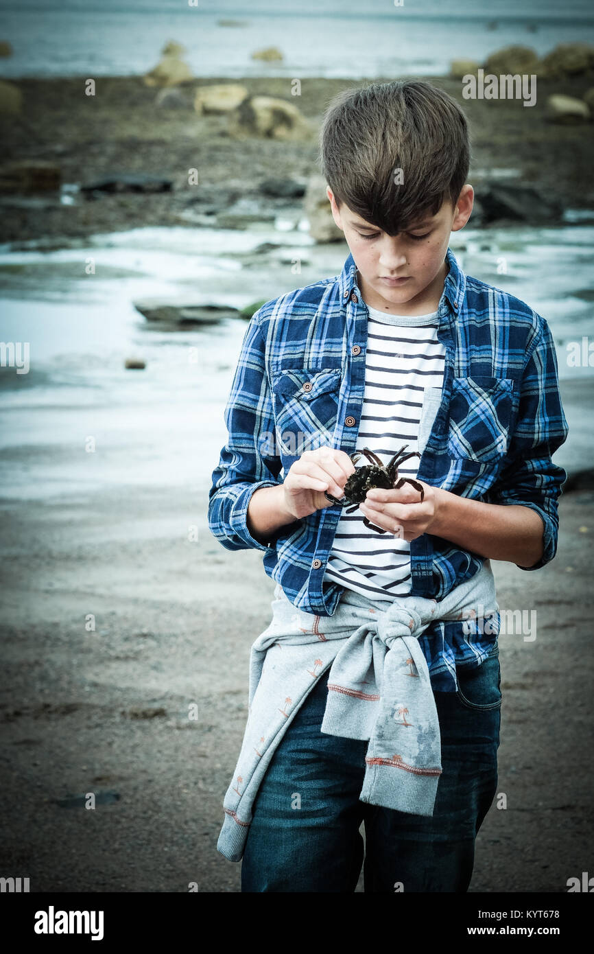 10 year old boy with crab in hand in Runswick Bay, Yorkshire, UK Stock Photo