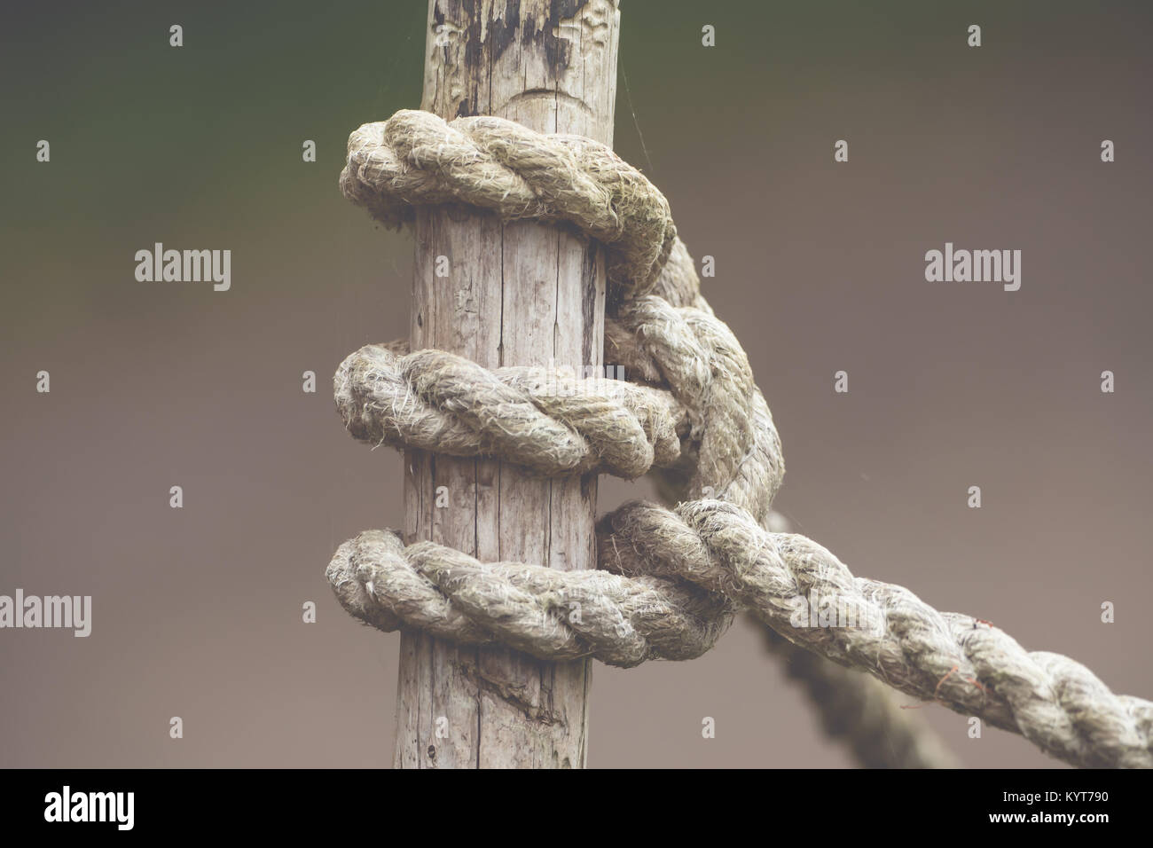 Restraint rope hi-res stock photography and images - Alamy