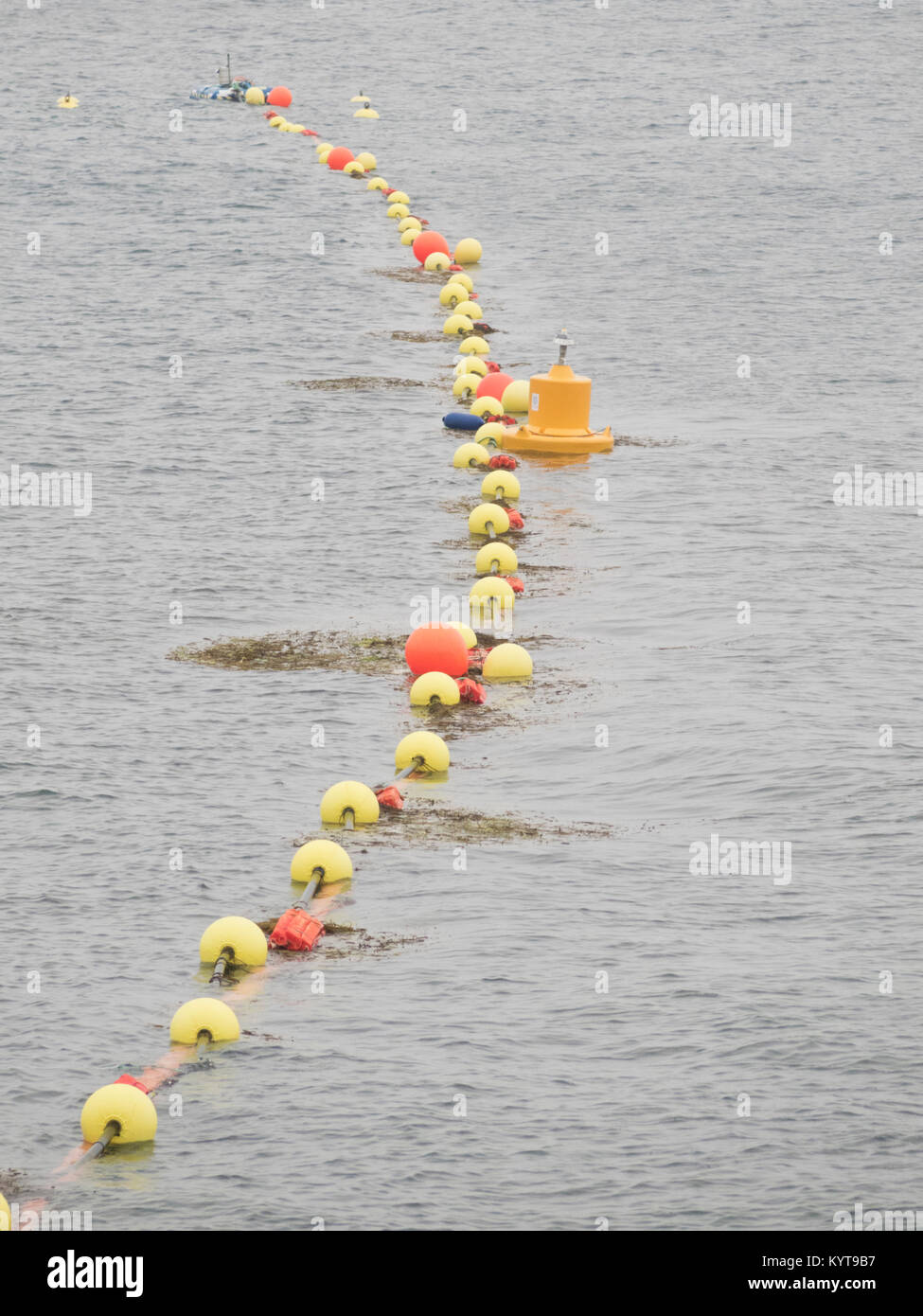 Wave Energy With Surface Attenuator Buoys & A Point Absorber Buoys, St