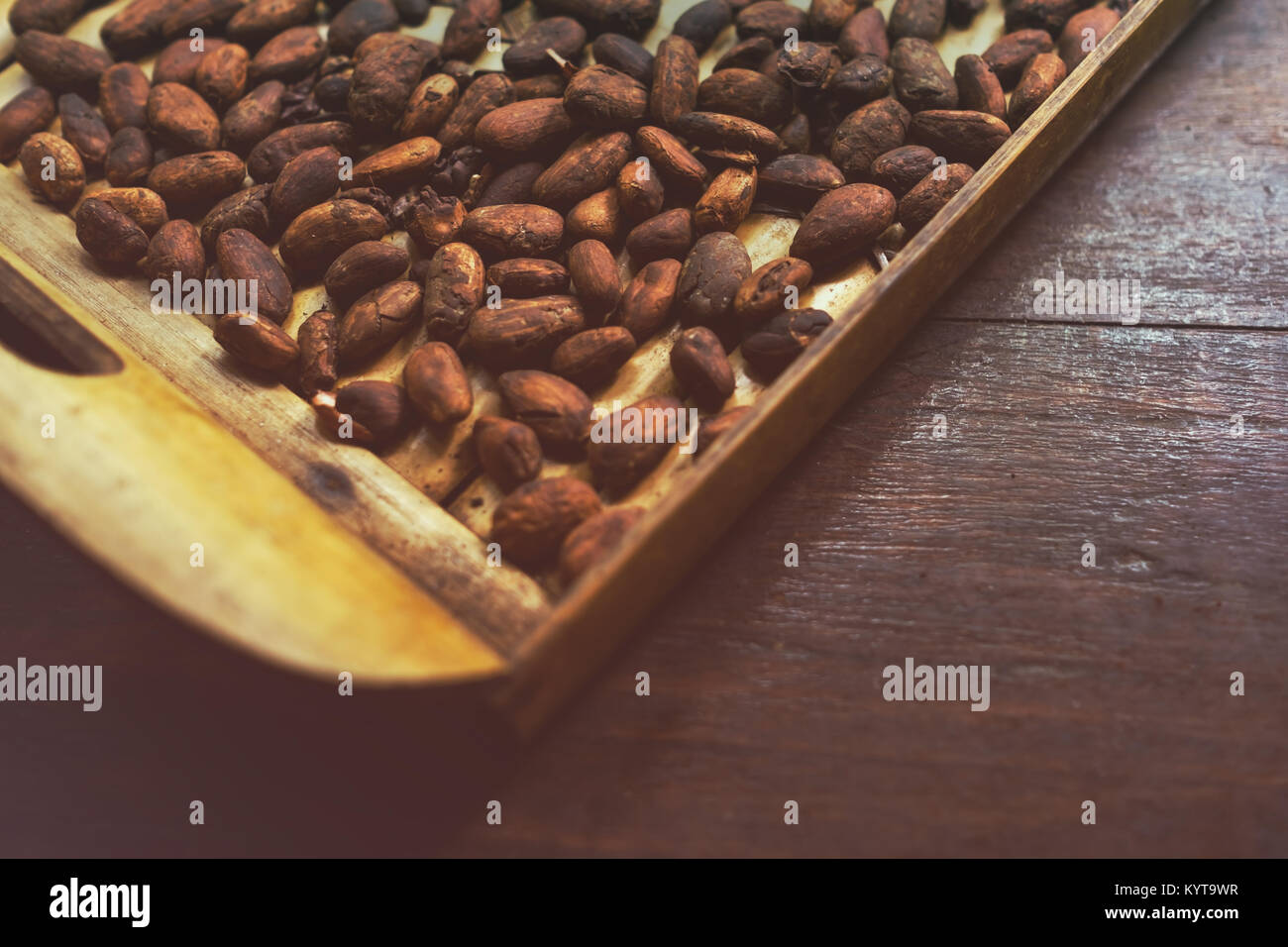 peeled cocoa bean on wooden surface Stock Photo