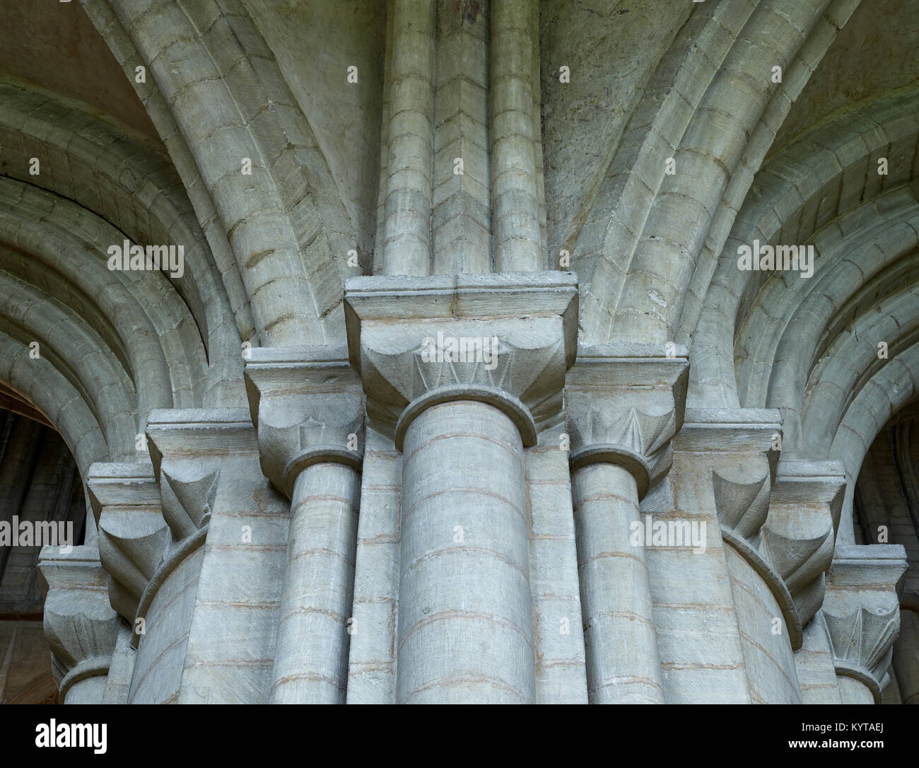 Peterborough Cathedral. Cluster of cushion capitals supporting springing ribs around nave pier. late Norman, twelfth century. Stock Photo