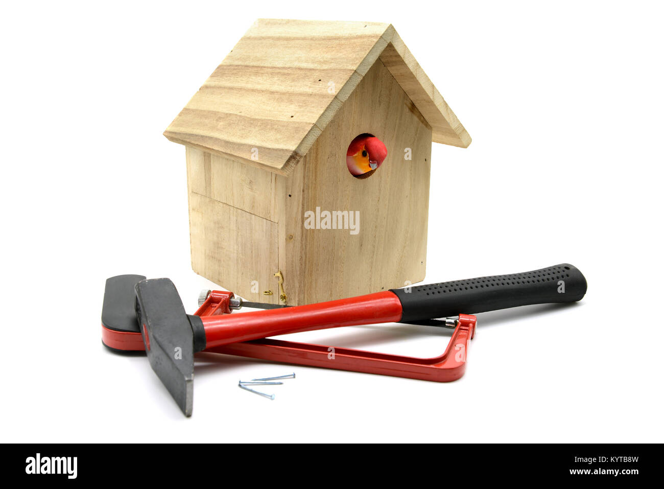 building bird nesting box with hammer, nails and saw. bird looking out of nestbox. white isolated background Stock Photo