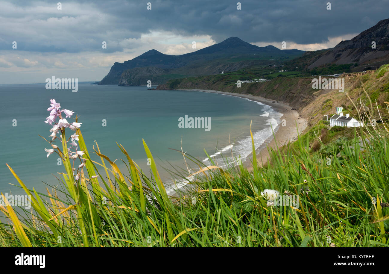 View of The Rivals (Yr Eifl) and Nefyn beach from the Wales Coast Path Stock Photo