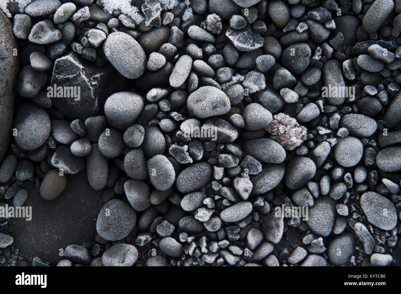 Black lava rocks of Iceland Stock Photo