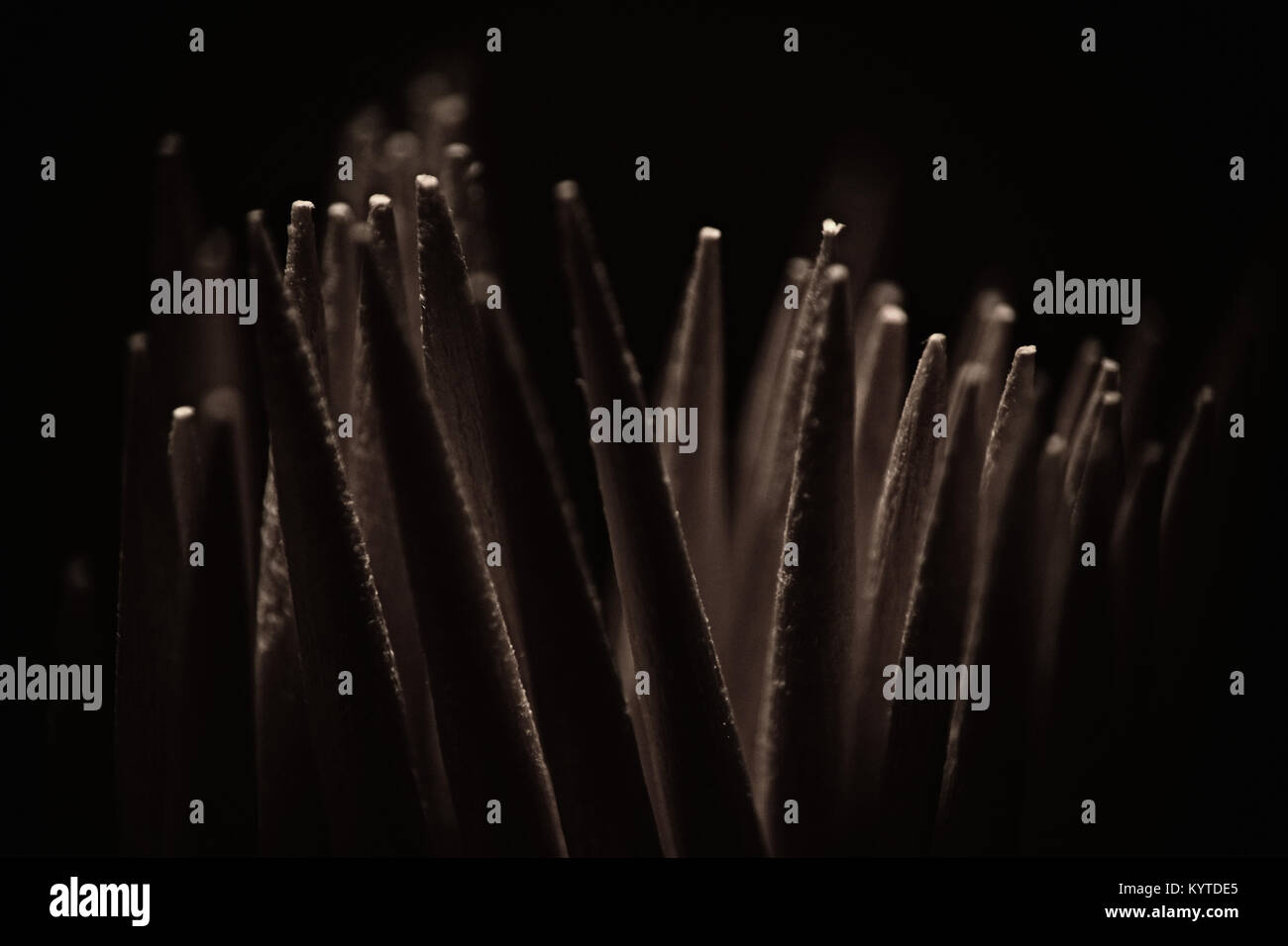 Macro toothpicks/cocktail sticks Stock Photo Alamy