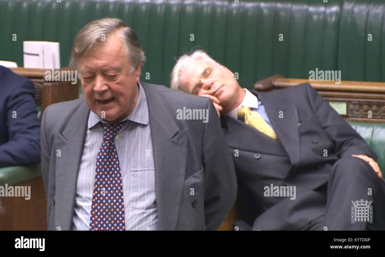 Sir Desmond Swayne MP appearing to sleep as he sits behind former Chancellor Ken Clarke during a House of Commons debate on Brexit. Stock Photo