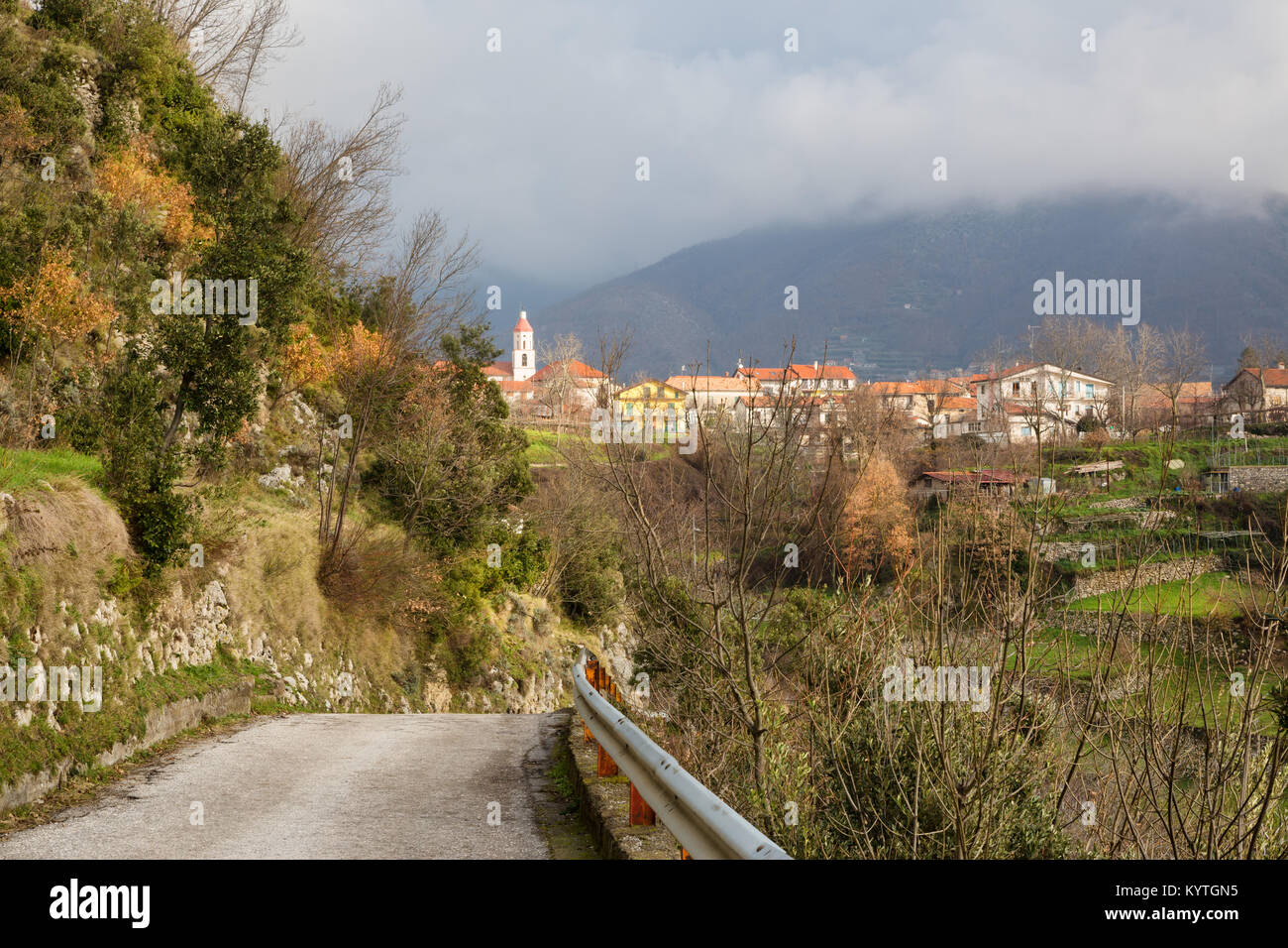 Positano natural plants hi-res stock photography and images - Alamy