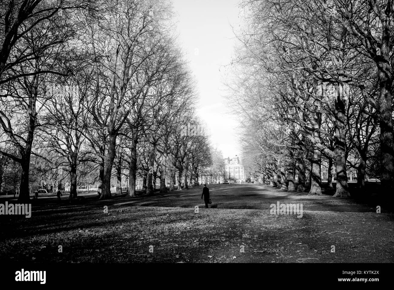 A man walking through Green Park in London during the day Stock Photo