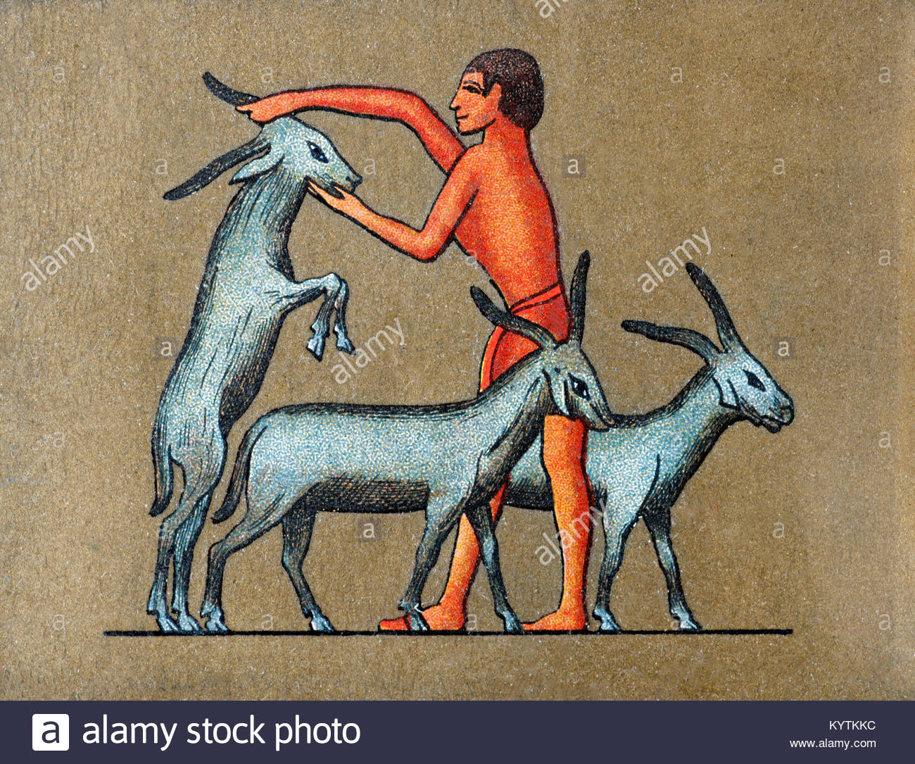 Depiction of ancient Egyptian goats Stock Photo