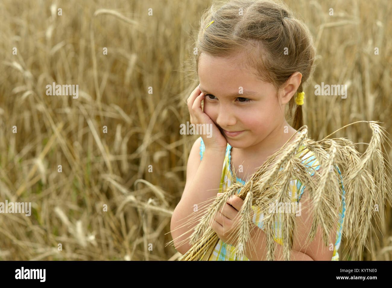Girl in wheat field Stock Photo - Alamy