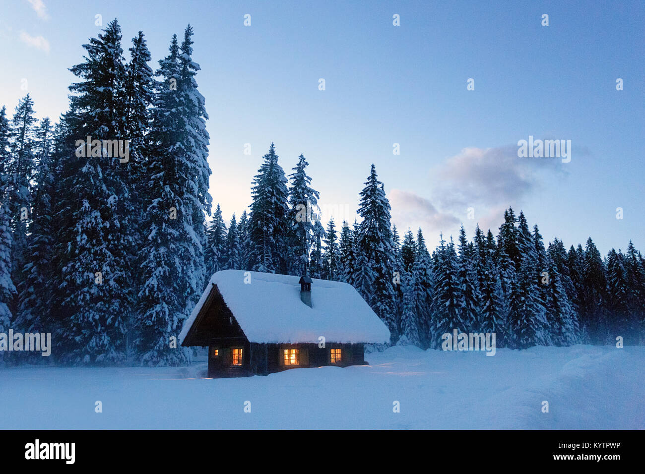 Winter landscape, pine trees and cottage covered with snow with lights on at twilight, Pokljuka, Slovenia Stock Photo