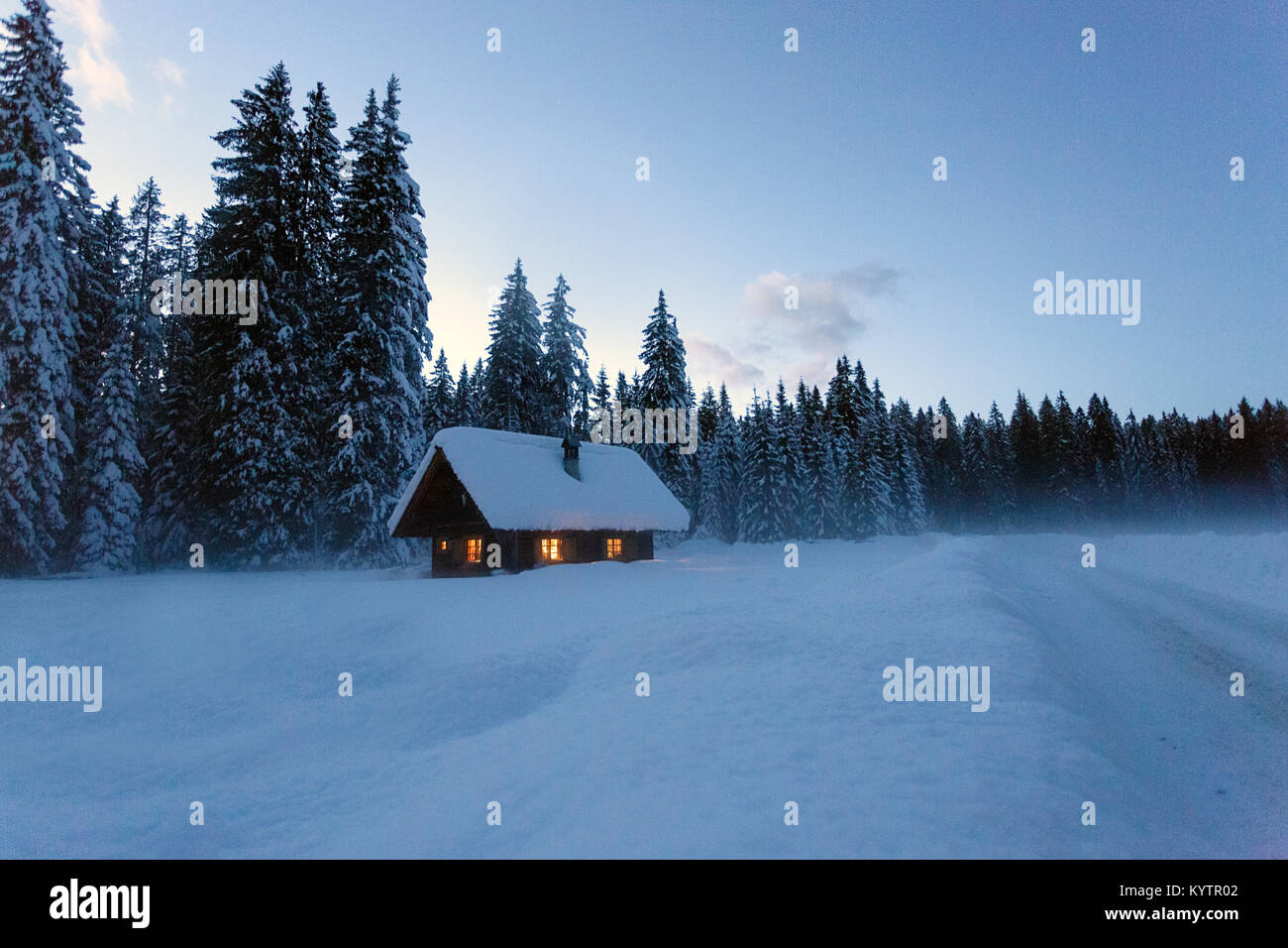 Winter landscape, pine trees and cottage covered with snow with lights on at twilight, Pokljuka, Slovenia Stock Photo