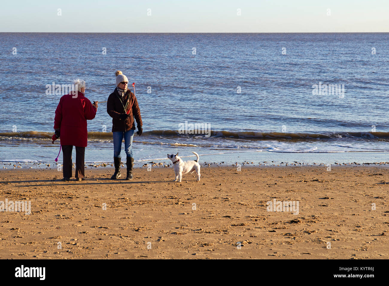 Dog walkers on Frinton on Sea beach Stock Photo