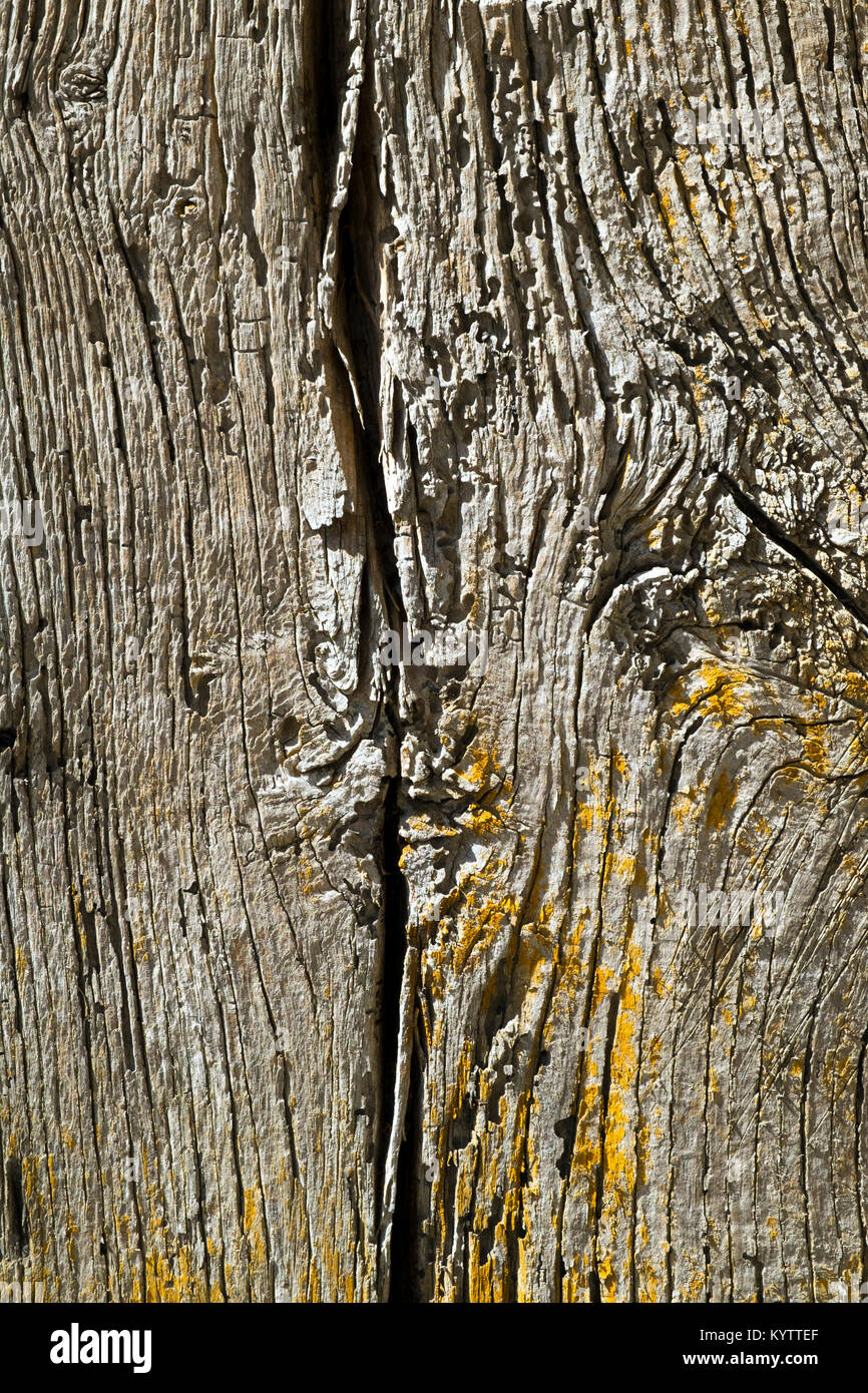 Old untreated construction wood beam full frame background texture Stock Photo