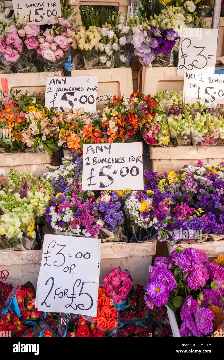 Columbia Road Flower Market stall without people, Columbia Rd, London, England, GB, UK Stock Photo
