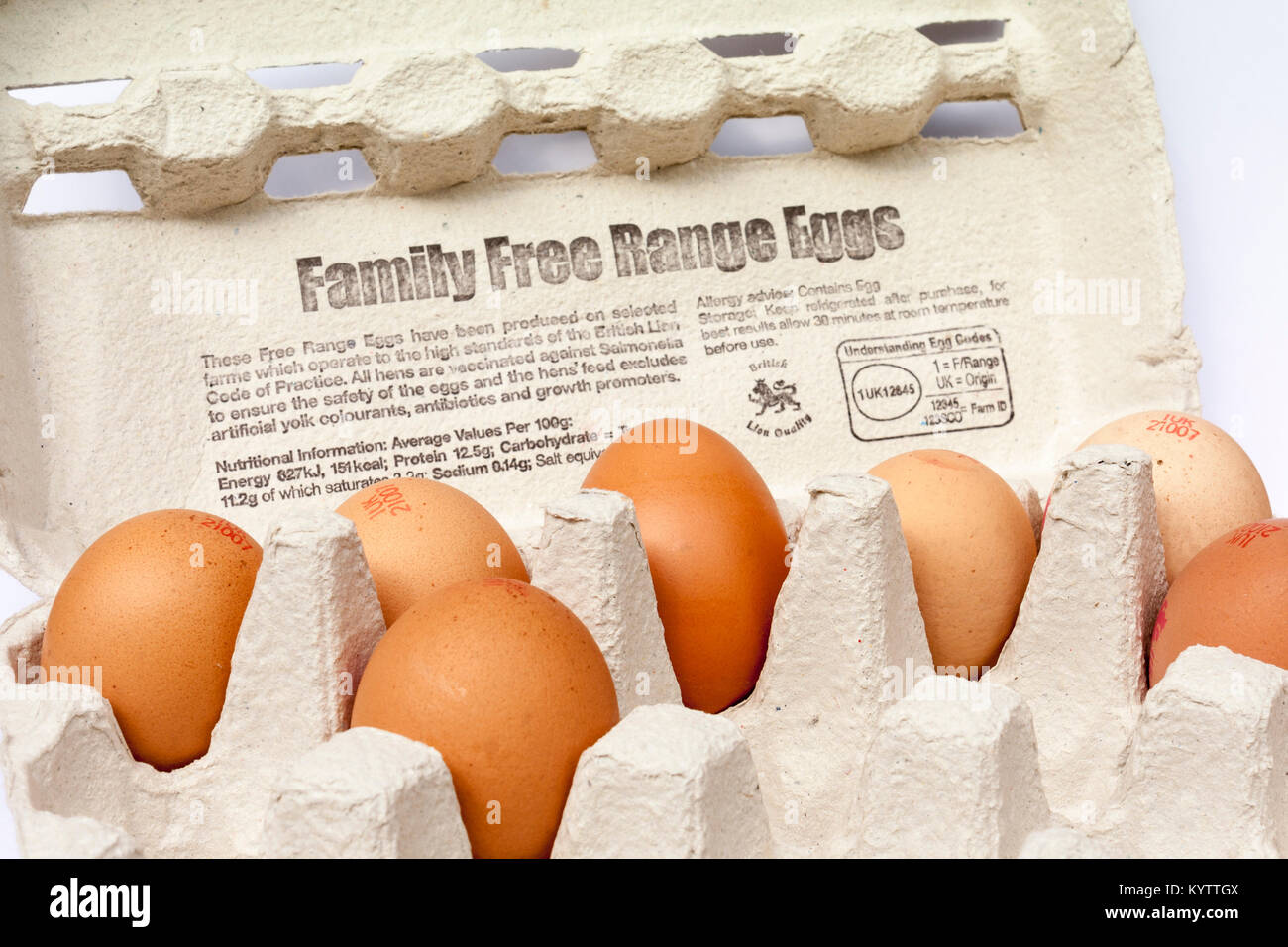 Carton of free range eggs Stock Photo