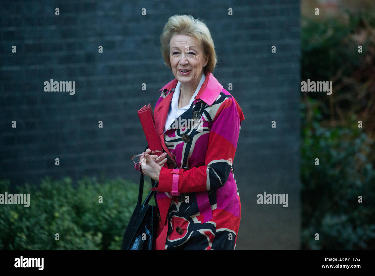 Andrea Leadsom, Leader of the House of Commons and Lord President of the Council, arrives for a Cabinet meeting at Downing Street in a colourful outfit Stock Photo