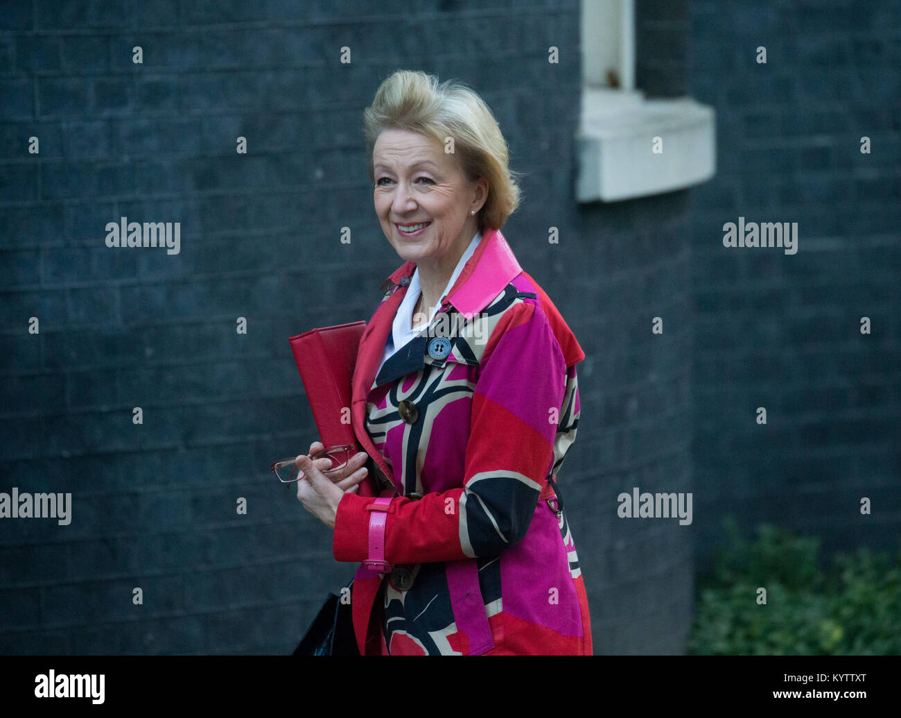 Andrea Leadsom, Leader of the House of Commons and Lord President of the Council, arrives for a Cabinet meeting at Downing Street in a colourful outfit Stock Photo