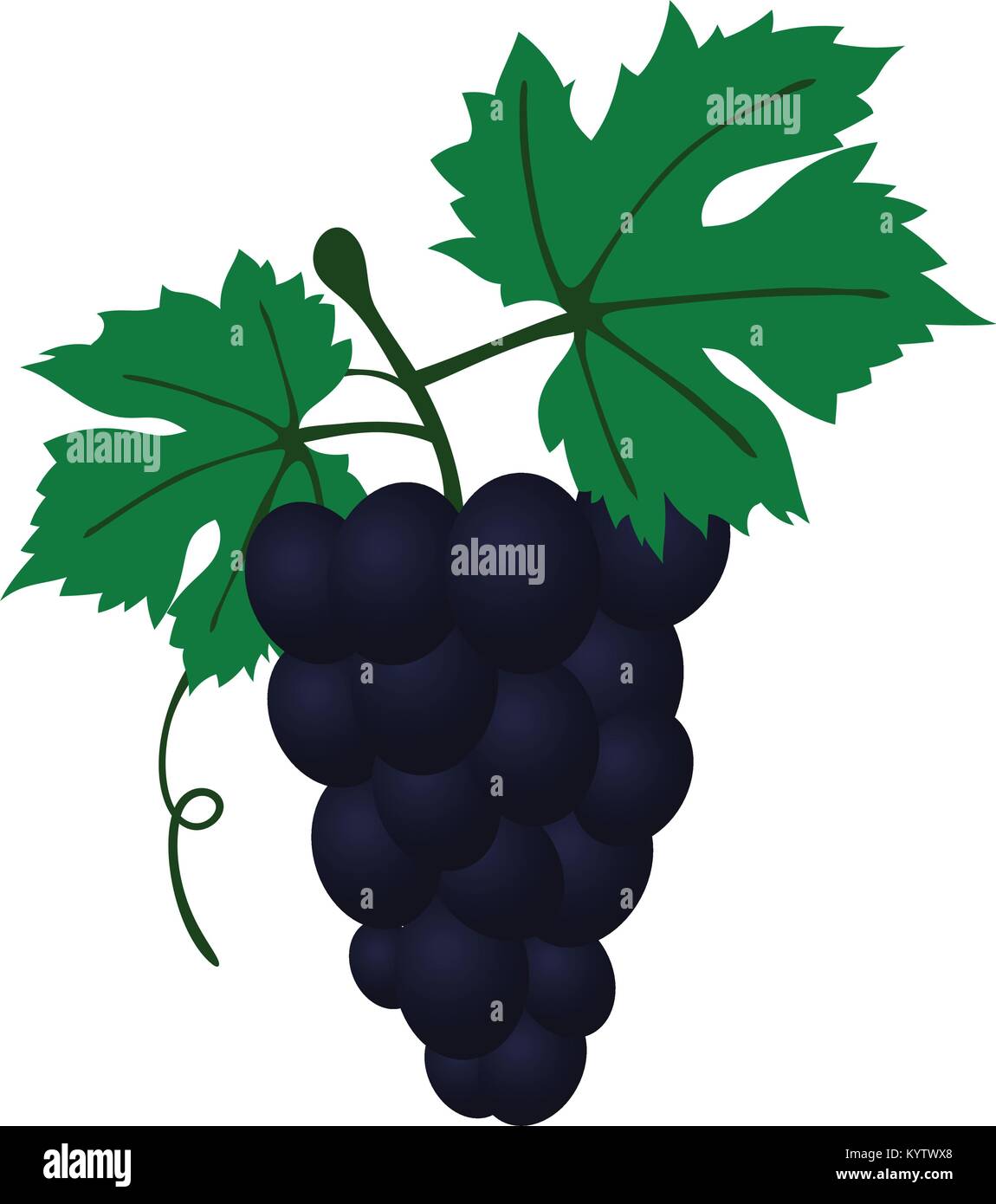 Flat design icon of Grape in ui colors. Vector illustration Stock ...